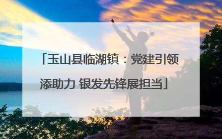 玉山县临湖镇：党建引领添助力 银发先锋展担当