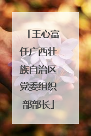 王心富任广西壮族自治区党委组织部部长