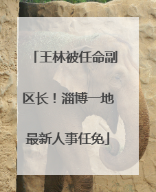 王林被任命副区长！淄博一地最新人事任免