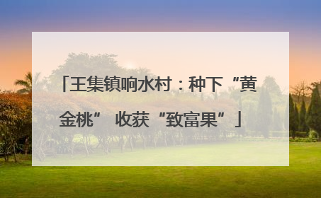 王集镇响水村：种下“黄金桃” 收获“致富果”