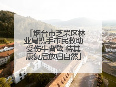 烟台市芝罘区林业局携手市民救助受伤牛背鹭 待其康复后放归自然