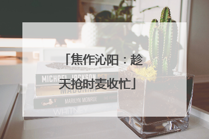 焦作沁阳：趁天抢时麦收忙