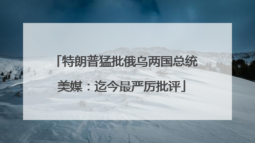 特朗普猛批俄乌两国总统 美媒：迄今最严厉批评