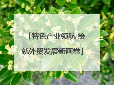 特色产业领航 绘就外贸发展新画卷