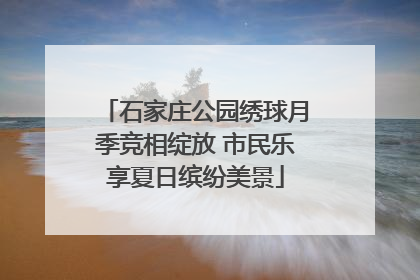 石家庄公园绣球月季竞相绽放 市民乐享夏日缤纷美景