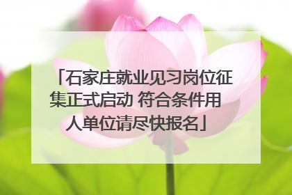 石家庄就业见习岗位征集正式启动 符合条件用人单位请尽快报名