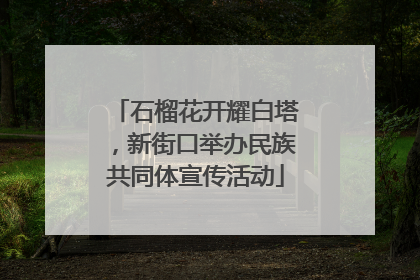 石榴花开耀白塔，新街口举办民族共同体宣传活动