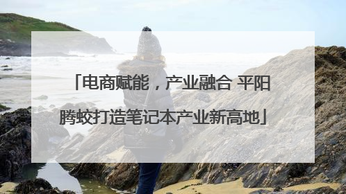 电商赋能，产业融合 平阳腾蛟打造笔记本产业新高地