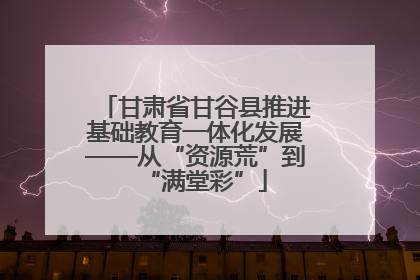 甘肃省甘谷县推进基础教育一体化发展——从“资源荒”到“满堂彩”