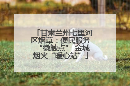 甘肃兰州七里河区烟草：便民服务“微触点” 金城烟火“暖心站”