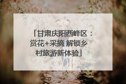 甘肃庆阳西峰区：赏花+采摘 解锁乡村旅游新体验