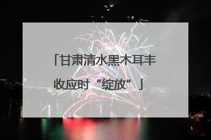 甘肃清水黑木耳丰收应时“绽放”