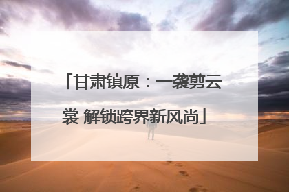 甘肃镇原：一袭剪云裳 解锁跨界新风尚
