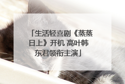 生活轻喜剧《蒸蒸日上》开机 高叶韩东君领衔主演