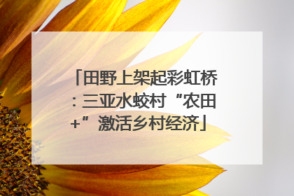 田野上架起彩虹桥：三亚水蛟村“农田+”激活乡村经济