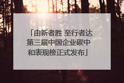 由新者胜 至行者达 第三届中国企业碳中和表现榜正式发布