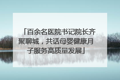 百余名医院书记院长齐聚聊城，共话母婴健康月子服务高质量发展
