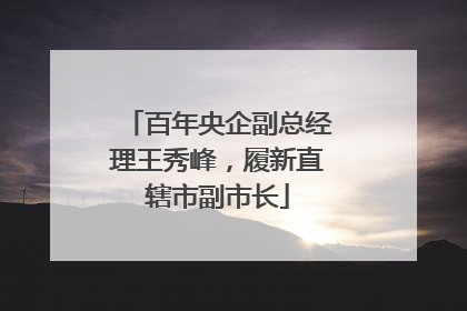 百年央企副总经理王秀峰，履新直辖市副市长