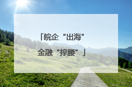 皖企“出海” 金融“撑腰”