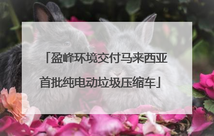 盈峰环境交付马来西亚首批纯电动垃圾压缩车