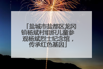 盐城市盐都区龙冈镇杨斌村组织儿童参观杨斌烈士纪念馆，传承红色基因