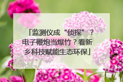 监测仪成“侦探”？电子鞭炮当爆竹？看新乡科技赋能生态环保