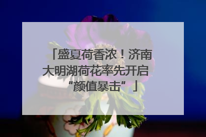 盛夏荷香浓！济南大明湖荷花率先开启“颜值暴击”