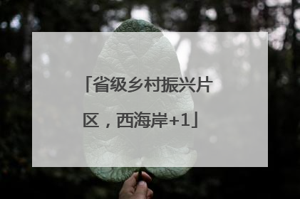 省级乡村振兴片区，西海岸+1