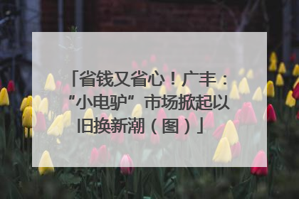 省钱又省心！广丰：“小电驴”市场掀起以旧换新潮（图）