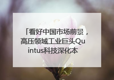 看好中国市场前景，高压领域工业巨头Quintus科技深化本土策略，构建全方位服务亚太区总部
