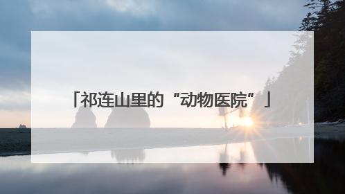 祁连山里的“动物医院”
