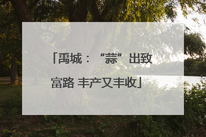 禹城：“蒜”出致富路 丰产又丰收