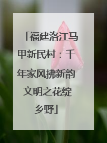 福建洛江马甲新民村：千年家风拂新韵 文明之花绽乡野