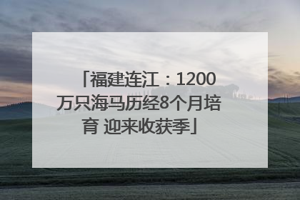 福建连江：1200万只海马历经8个月培育 迎来收获季