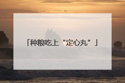 种粮吃上“定心丸”