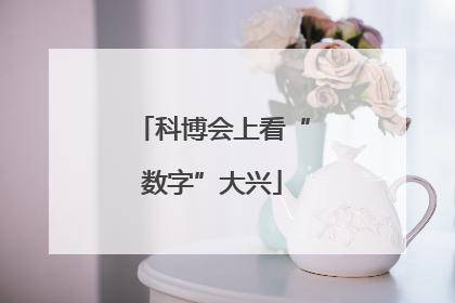 科博会上看“数字”大兴