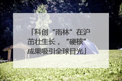 科创“雨林”在沪茁壮生长，“硬核”成果吸引全球目光