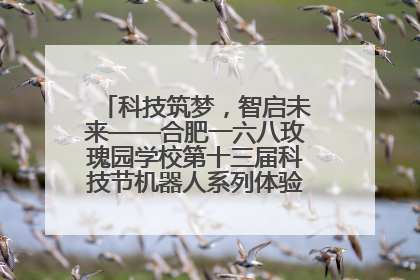 科技筑梦，智启未来——合肥一六八玫瑰园学校第十三届科技节机器人系列体验赛燃动校园