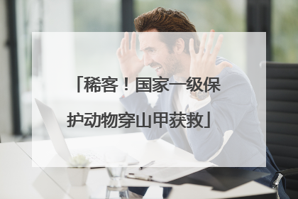 稀客！国家一级保护动物穿山甲获救