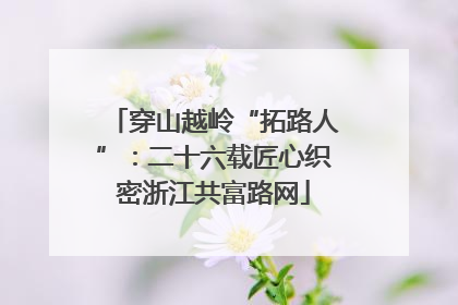穿山越岭“拓路人”：二十六载匠心织密浙江共富路网