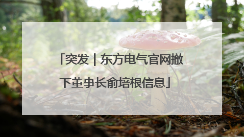突发｜东方电气官网撤下董事长俞培根信息
