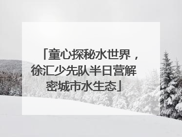 童心探秘水世界，徐汇少先队半日营解密城市水生态