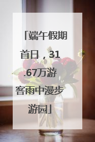 端午假期首日，31.67万游客雨中漫步游园