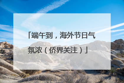端午到，海外节日气氛浓（侨界关注）