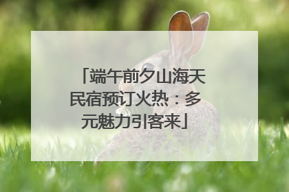 端午前夕山海天民宿预订火热：多元魅力引客来