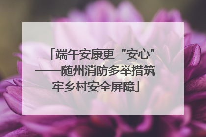 端午安康更“安心”——随州消防多举措筑牢乡村安全屏障
