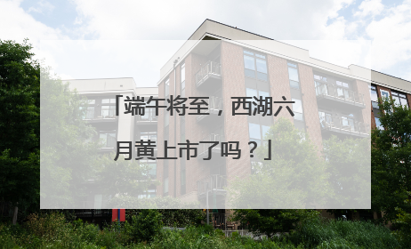端午将至，西湖六月黄上市了吗？