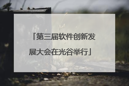 第三届软件创新发展大会在光谷举行