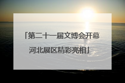 第二十一届文博会开幕 河北展区精彩亮相