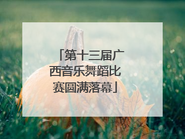 第十三届广西音乐舞蹈比赛圆满落幕
